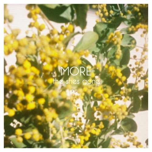 the shes gone / MORE