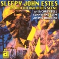 SLEEPY JOHN ESTES / スリーピー・ジョン・エスティス / ON THE CHICAGO BLUES SCENE
