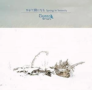 Gammal Gran / やがて樹になる Spring in Serenity