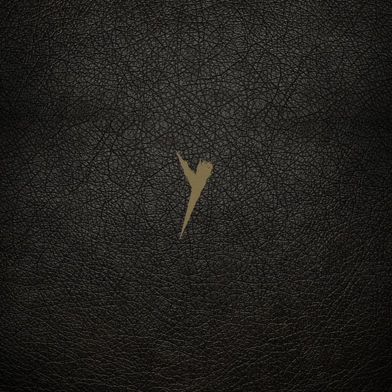 POP GROUP / ポップ・グループ / Y (SIGNED DELUXE VINYL BOX SET)