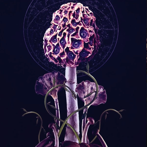 BLUT AUS NORD / HALLUCINOGEN<DIGI>