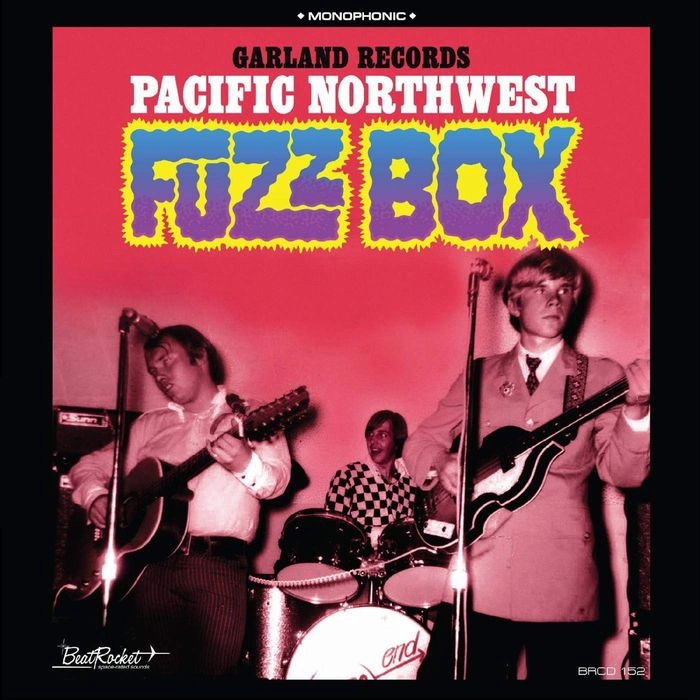 V.A. (GARLAND RECORDS) / GARLAND RECORDS PACIFIC NORTHWEST FUZZ BOX(BLUE VINYL)