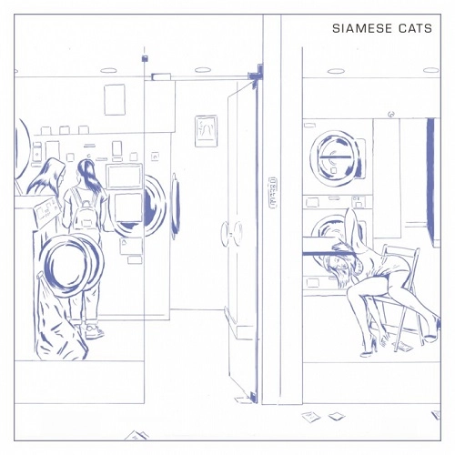 SIAMESECATS / シャムキャッツ / はなたば（CD+DVD）