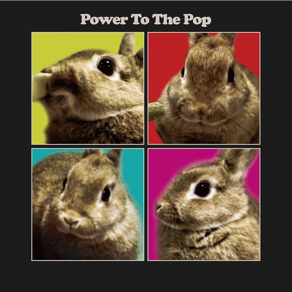 V.A. / オムニバス / POWER TO THE POP