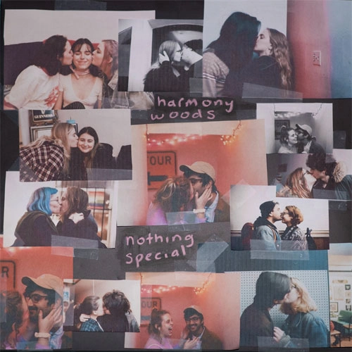 HARMONY WOODS / NOTHING SPECIAL (LP)