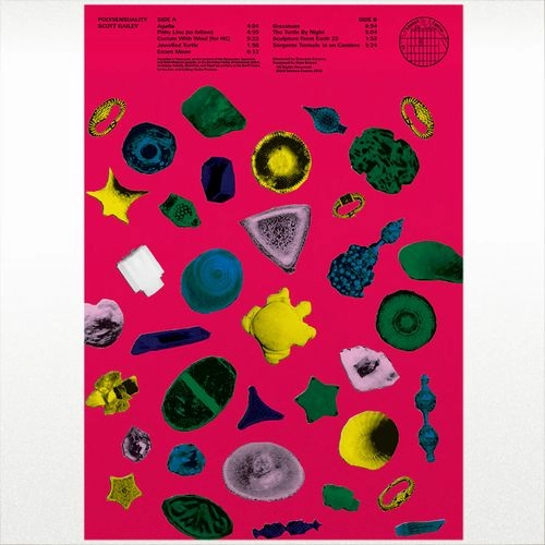 SCOTT GAILEY / POLYSENSUALITY (LP)