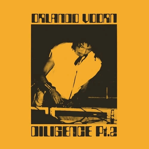 ORLANDO VOORN / オーランド・ブーン / DILIGENCE PT.2