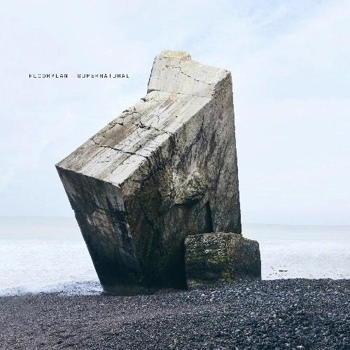 FLOORPLAN AKA ROBERT HOOD   / フロアプラン / SUPERNATURAL (2LP)
