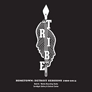 V.A. / オムニバス / HOMETOWN: DETROIT SESSIONS 1990-2014