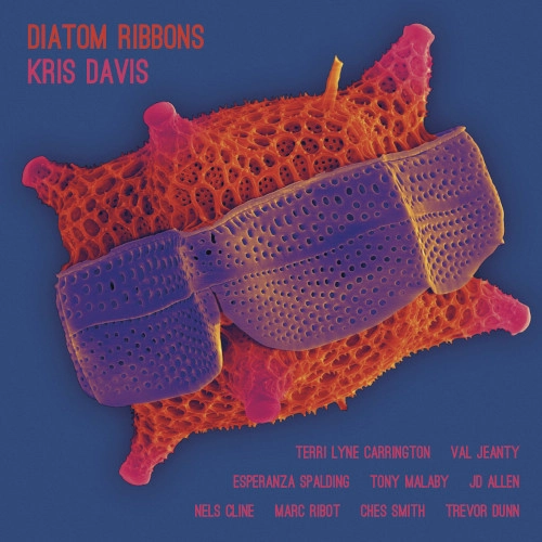 KRIS DAVIS / クリス・デイヴィス / DIATOM RIBBONS