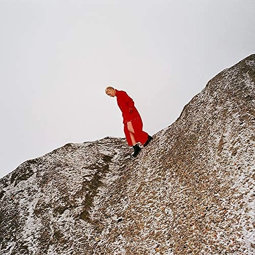CATE LE BON / ケイト・ル・ボン / リワード  / REWARD