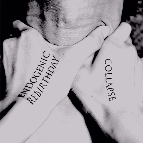 COLLAPSE (JPN) / ENDOGENIC REBIRTHDAY