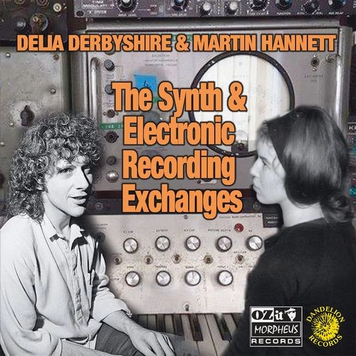 DELIA DERBYSHIRE & MARTIN HANNETT / THE SYNTH AND ELECTRONIC RECORDING EXCHANGES (LP)
