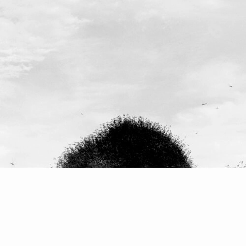 CHIHEI HATAKEYAMA / 畠山地平 / FORGOTTEN HILL