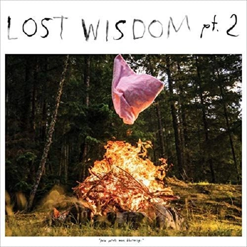MOUNT EERIE WITH JULIE DOIRON / マウント・イアリ WITH ジュリー・ドワロン / ロスト・ウィズダム・パート1&2 / LOST WISDOM PTS. 1 & 2