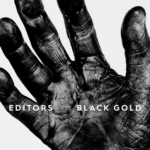 EDITORS / エディターズ / BLACK GOLD (LP/WHITE VINYL)