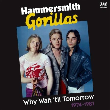 GORILLAS / ゴリラス / WHY WAIT UNTIL TOMORROW 1974-1981 (2LP)
