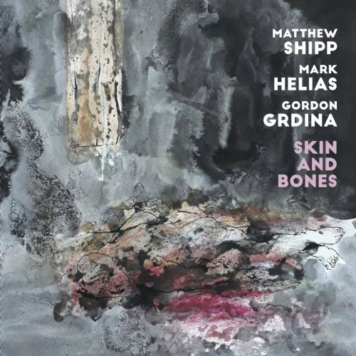 MATTHEW SHIPP / マシュー・シップ / SKIN AND BONES