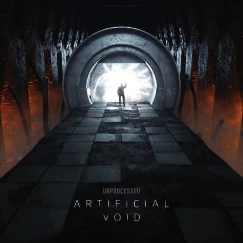 UNPROCESSED / アンプロセスド / アーティフィシャル･ヴォイド / ARTIFICIAL VOID