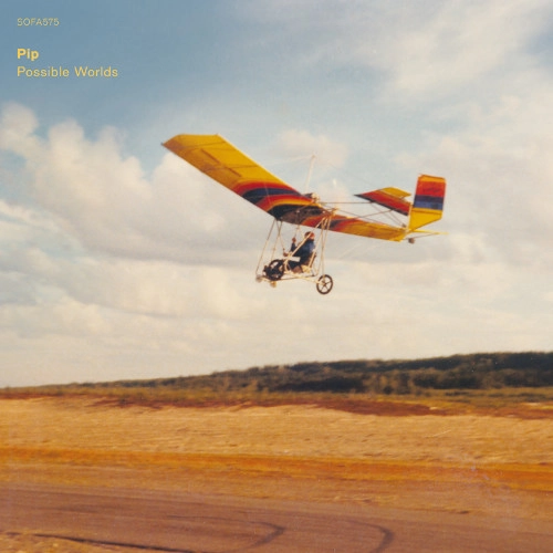 PIP(Tirstein Lavik Larsen) / POSSIBLE WORLDS