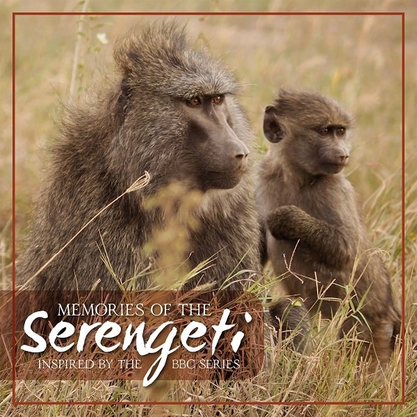 V.A. (MEMORIES OF SERENGETI) / オムニバス / MEMORIES OF SERENGETI