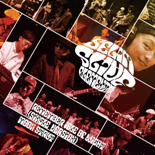 SELIM SLIVE ELEMENTZ / セリム・スライヴ・エレメンツ / Remembering Isle of Wight (Single version)/Moon Strut