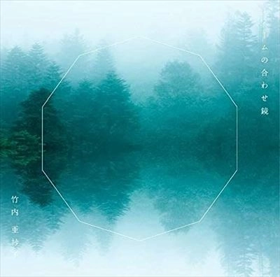ASAKO TAKEUCHI / 竹内亜紗子 / ノームの合わせ鏡