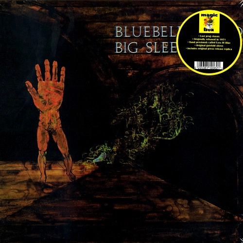 BIG SLEEP / ビッグ・スリープ / BLUEBELL WOOD：LIMITED VINYL