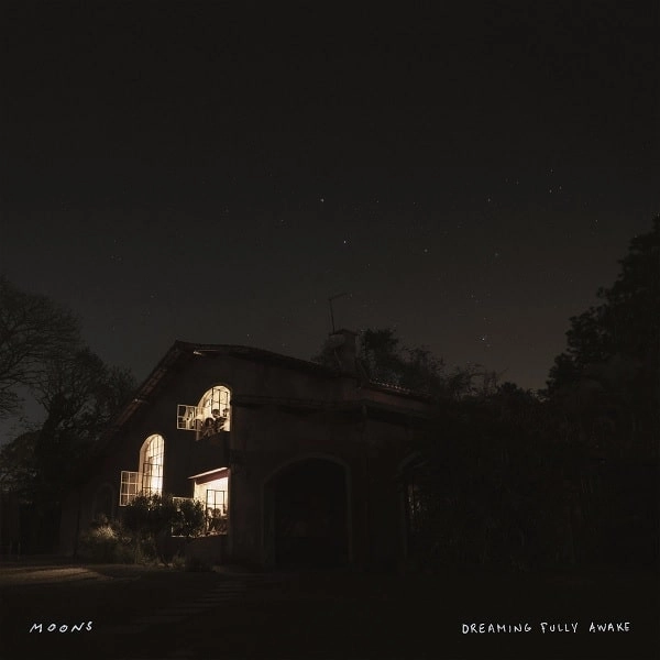 MOONS (ANDRE TRAVASSOS) / ムーンズ / DREAMING FULLY AWAKE