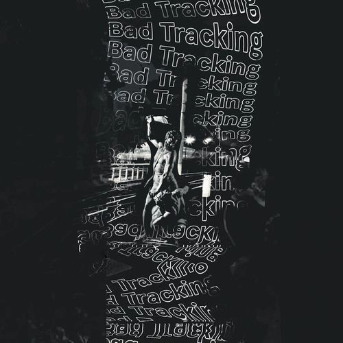 BAD TRACKING / WIDOWER