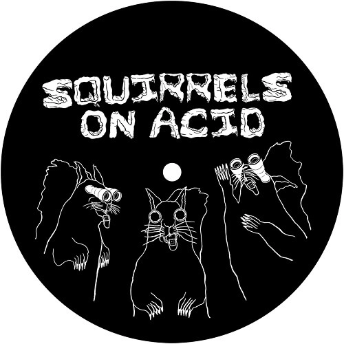 V.A. / オムニバス / SQUIRRELS ON ACID