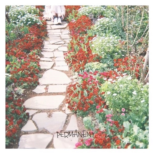 アシノイヌ / PERMANENT