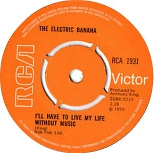 ELECTRIC BANANA / エレクトリック・バナナ / GROOVY BABY BUBBLE GUM MUSIC