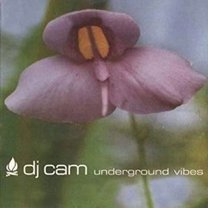 DJ CAM / DJカム / UNDERGROUND VIBES (復刻盤)