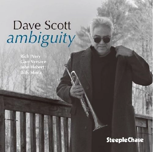 DAVE SCOTT / デイヴ・スコット / AMBIGUITY