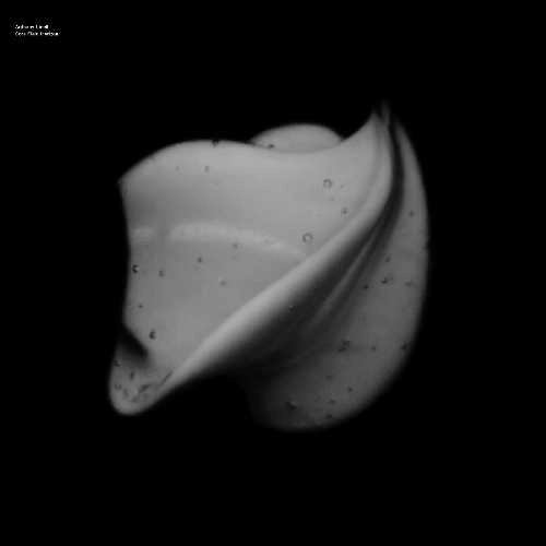 ANTHONY LINELL / CORE FIELD HORIZON