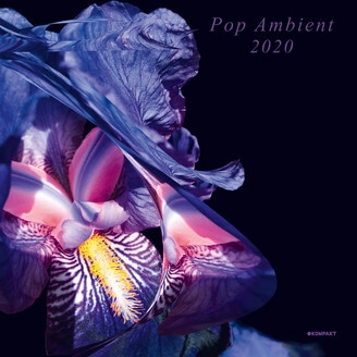 V.A.(POP AMBIENT) / POP AMBIENT 2020 (2LP)