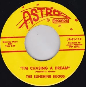 SUNSHINE BUGGS / I'M CHASING A DREAM / FOUR WALLS