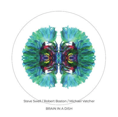 STEVE SWELL / スティーブ・スウェル / BRAIN IN A DISH