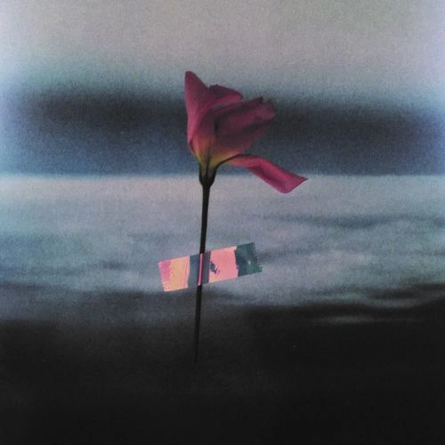 WILL SAMSON / ウィル・サムソン / PARALANGUAGE (COLOR VINYL)