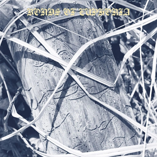 ABEST / BONDS OF EUPHORIA (LP)