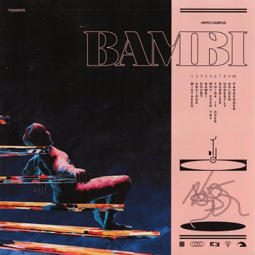 HIPPO CAMPUS / ヒッポー・キャンパス / BAMBI (LP/TRANSLUCENT LIGHT BLUE VINYL)