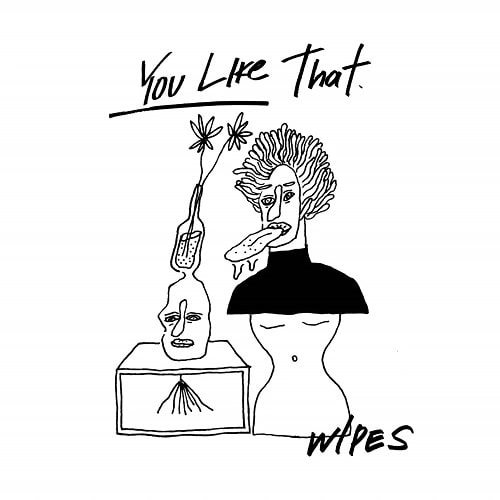 WIPES / YOU LIKE THAT