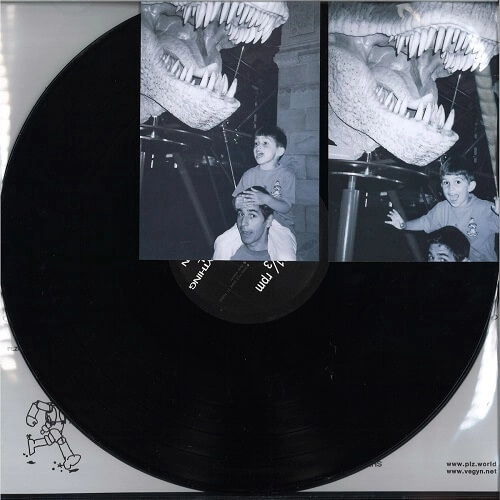 VEGYN / ヴィーガン / ONLY DIAMONDS CUT DIAMONDS (2LP)