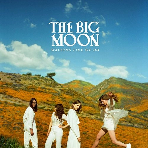 BIG MOON / ビッグ・ムーン / WALKING LIKE WE DO (CD)