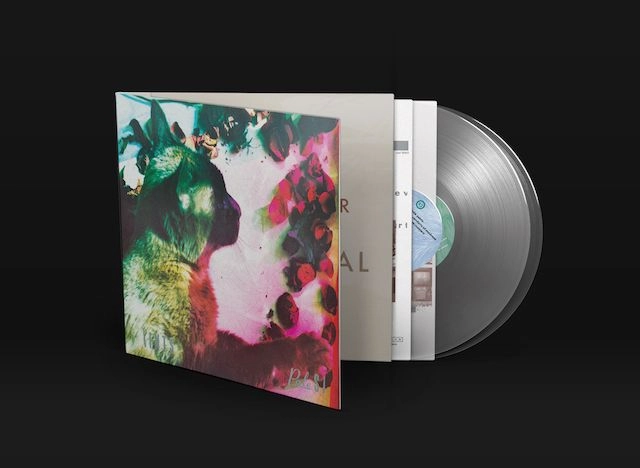 PALE SAINTS / ペイル・セインツ / THE COMFORTS OF MADNESS (30TH ANNIVERSARY REMASTER CLEAR VINYL)