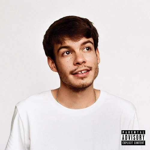 REX ORANGE COUNTY / レックス・オレンジ・カウンティ / ポニー / PONY