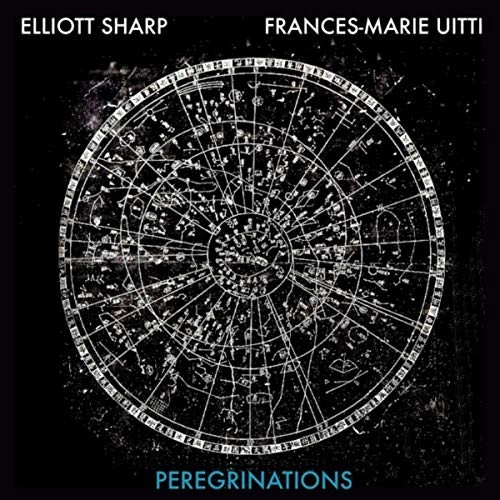 ELLIOTT SHARP / エリオット・シャープ / PEREGRINATIONS