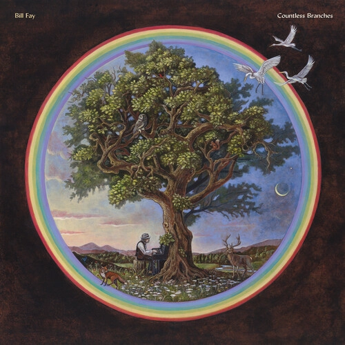 BILL FAY / ビル・フェイ / COUNTLESS BRANCHES