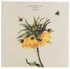 EINZELKIND & GIULIANO LOMONTE / CIVIL STRETCH EP (10")